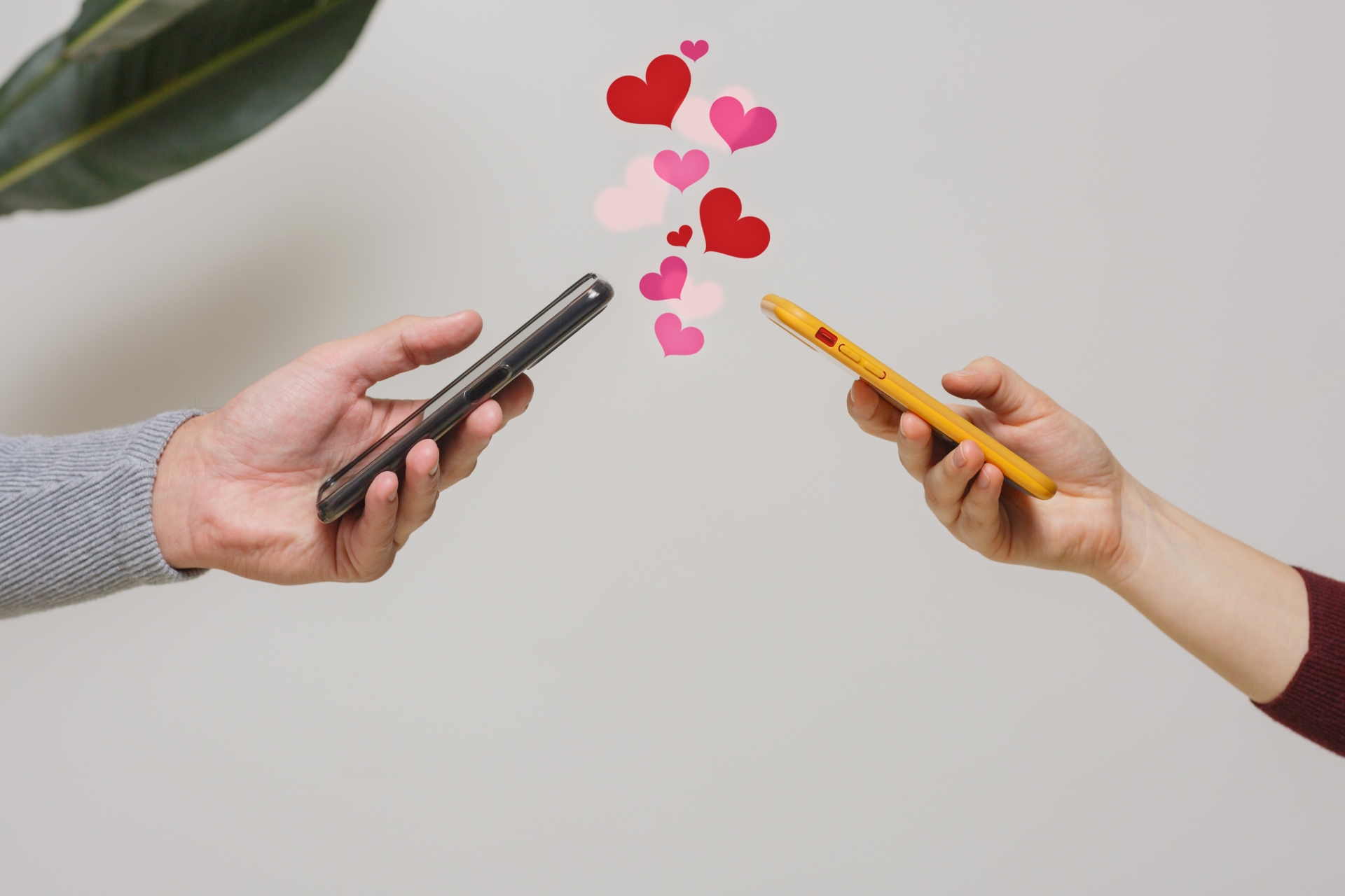 連絡先を交換する男女